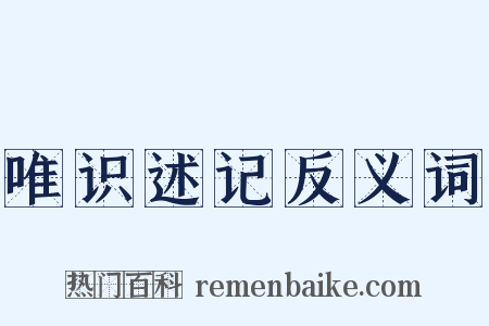 唯识述记反义词是什么意思的图片